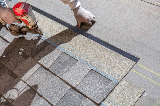 Best Local Roofing Companies  in Panther Valley, NJ